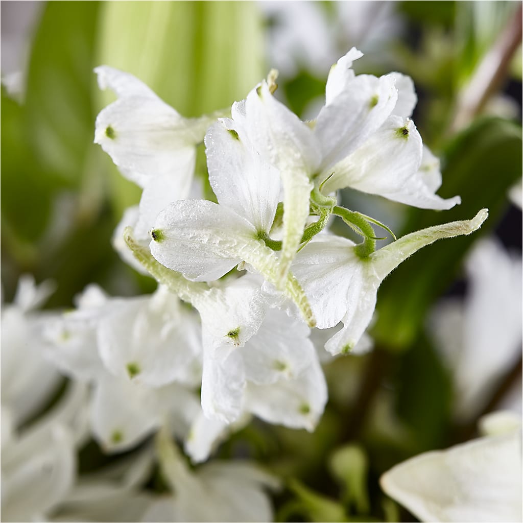 Classic Ivory – A Florist Original –  United Family Flower And Gifts, Brooklyn NY