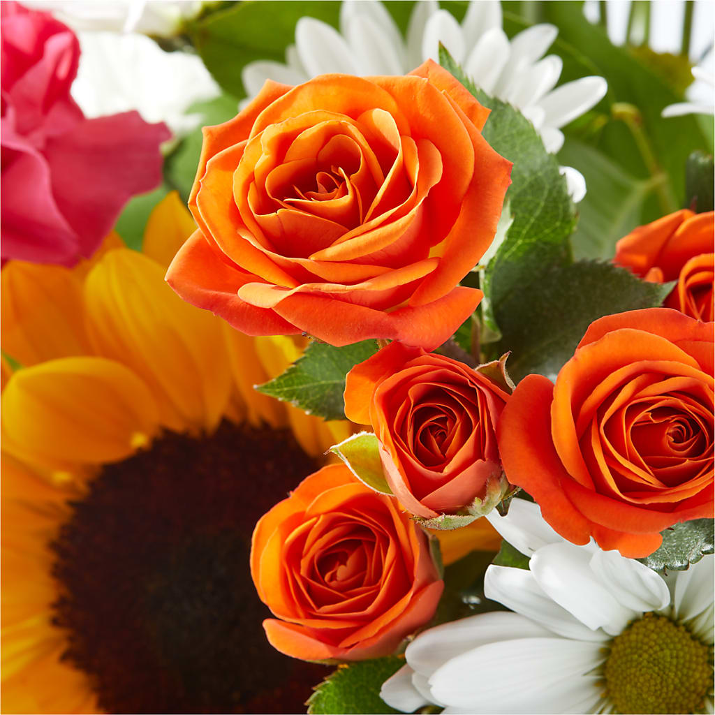 Sun-drenched Blooms Bouquet –  United Family Flower And Gifts, Brooklyn NY