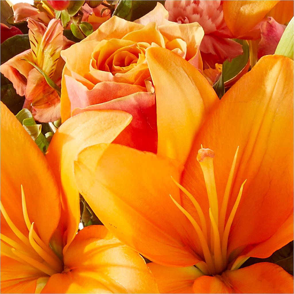 Afternoon Light Bouquet –  United Family Flower And Gifts, Brooklyn NY
