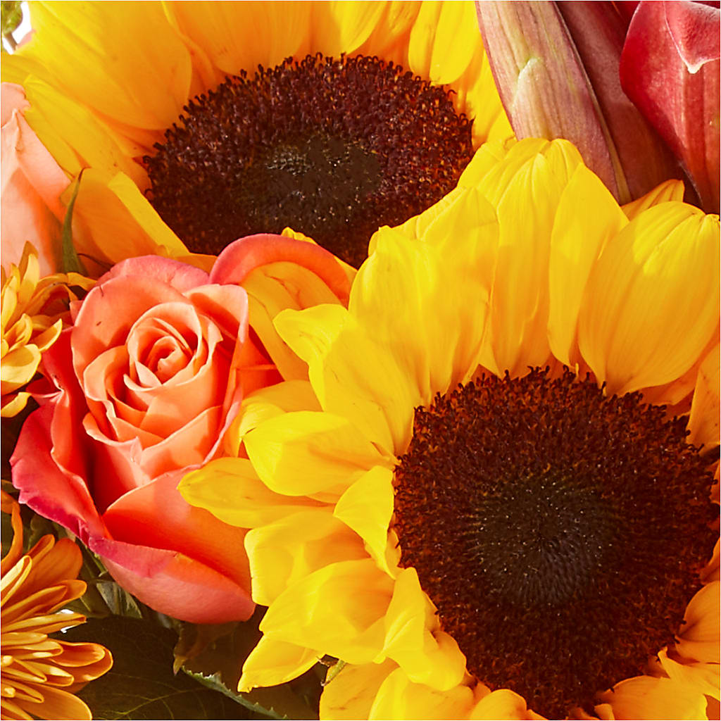 Acorn Lane Bouquet –  United Family Flower And Gifts, Brooklyn NY