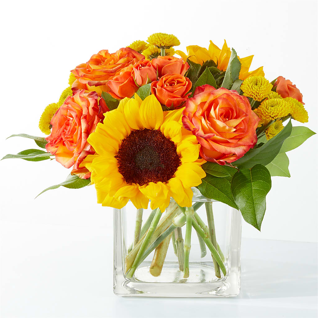 Picnic in the Park Bouquet –  United Family Flower And Gifts, Brooklyn NY