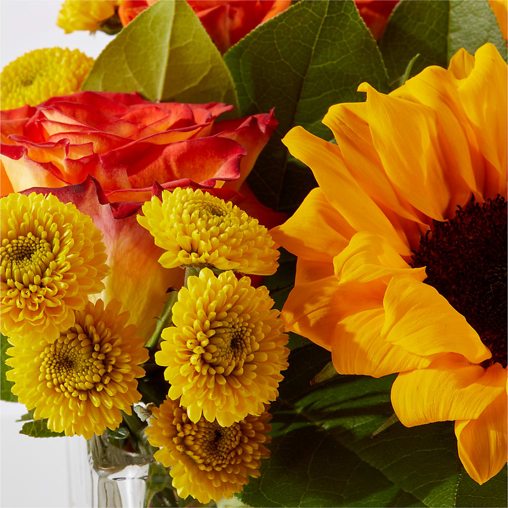 Picnic in the Park Bouquet –  United Family Flower And Gifts, Brooklyn NY