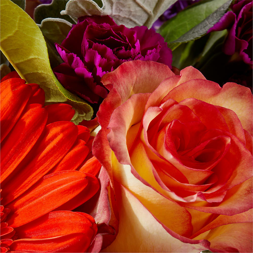Sangria Bouquet –  United Family Flower And Gifts, Brooklyn NY