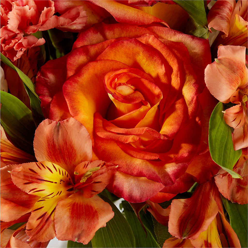 Apricot Glow Bouquet –  United Family Flower And Gifts, Brooklyn NY