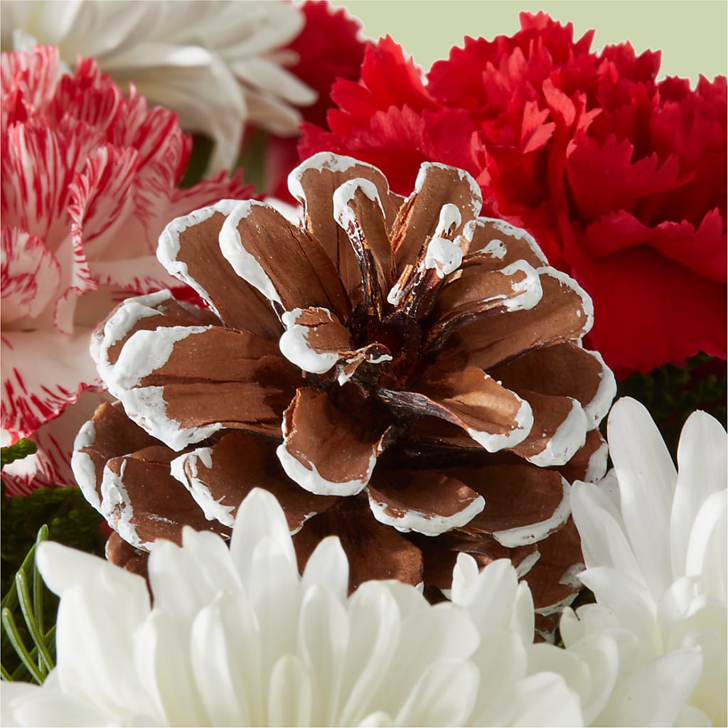 Candy Cane Lane Bouquet –  United Family Flower And Gifts, Brooklyn NY
