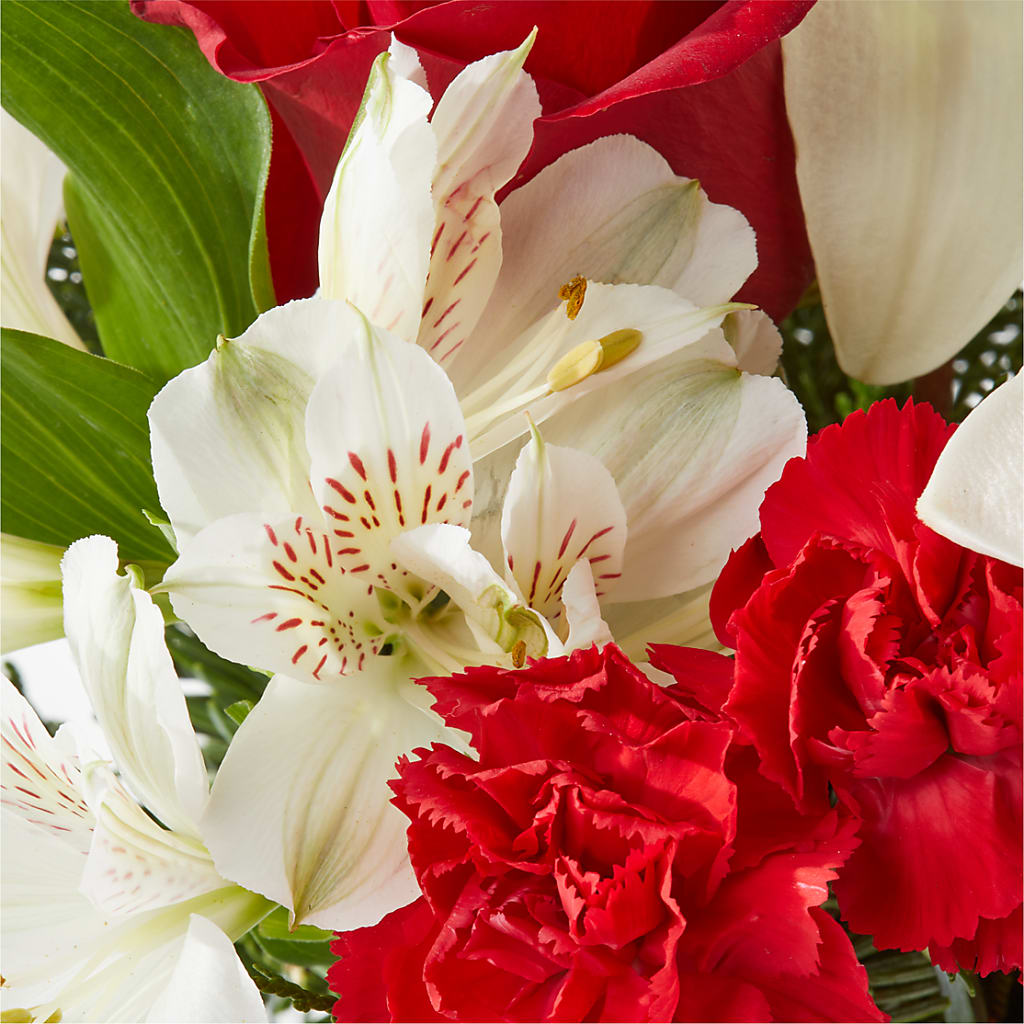 Holiday Season Bouquet –  United Family Flower And Gifts, Brooklyn NY
