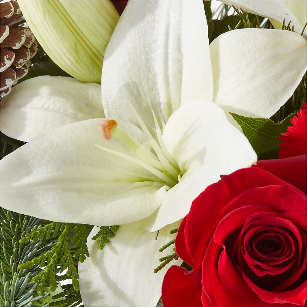 Oh So Jolly Bouquet –  United Family Flower And Gifts, Brooklyn NY