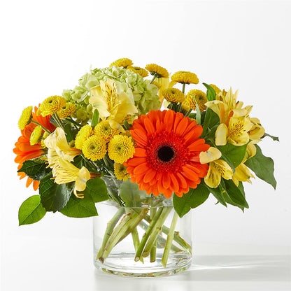Autumn Sunshine Bouquet –  United Family Flower And Gifts, Brooklyn NY