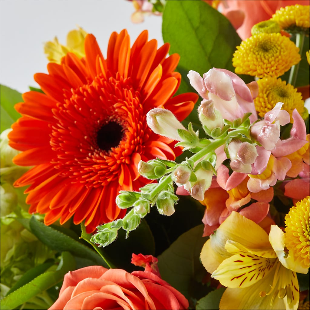 Autumn Sunshine Bouquet –  United Family Flower And Gifts, Brooklyn NY