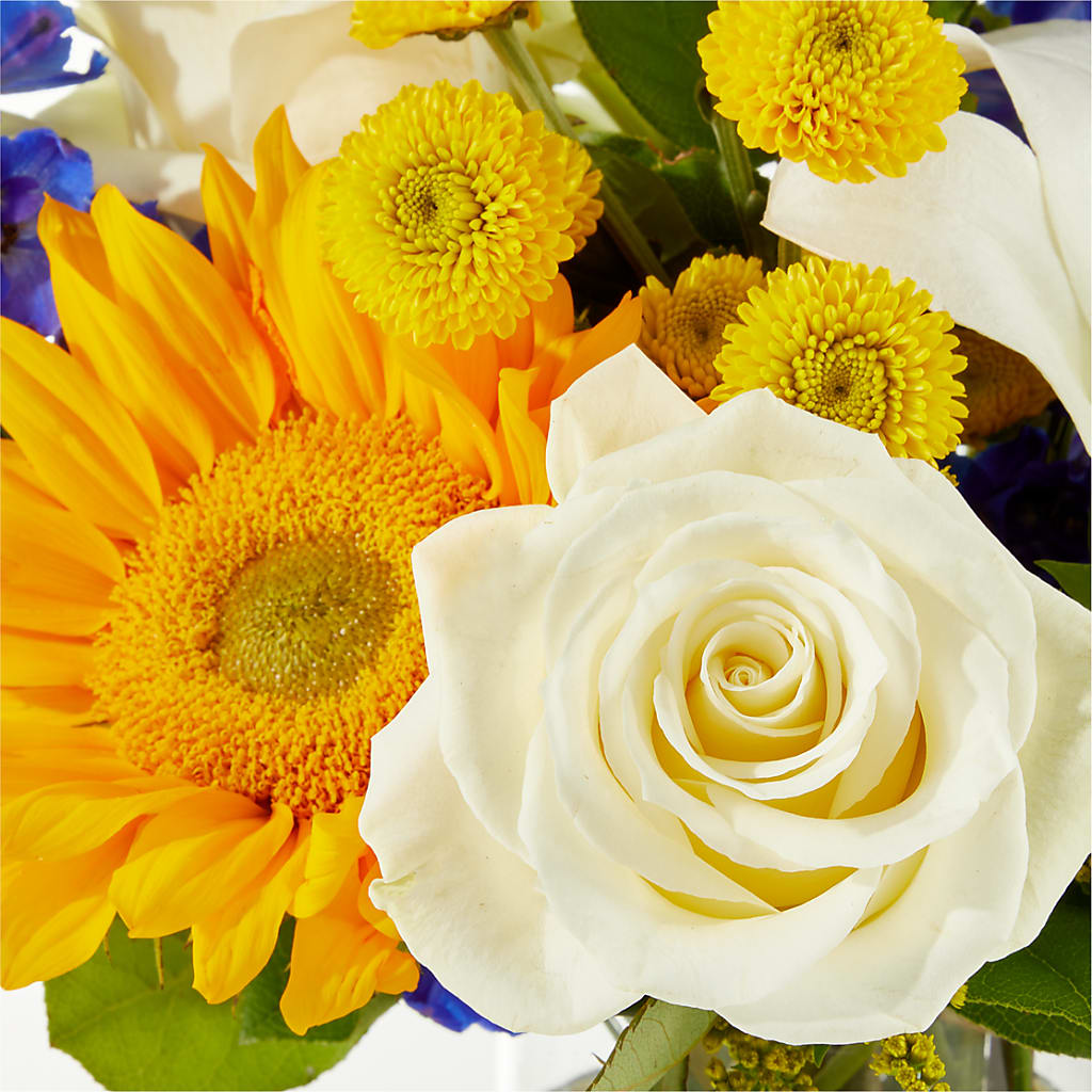 Stargazing Bouquet –  United Family Flower And Gifts, Brooklyn NY