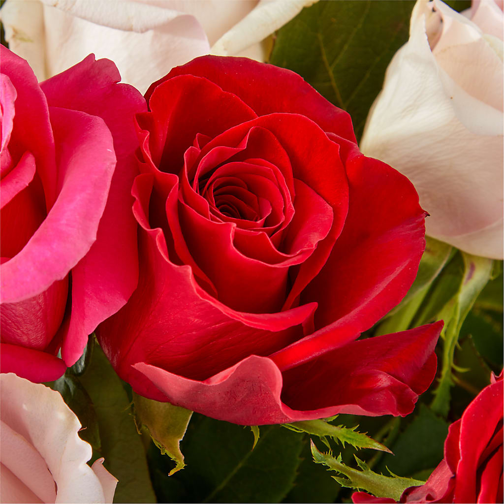 Charming Rose Bouquet –  United Family Flower And Gifts, Brooklyn NY