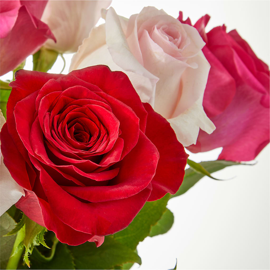 Charming Rose Bouquet –  United Family Flower And Gifts, Brooklyn NY