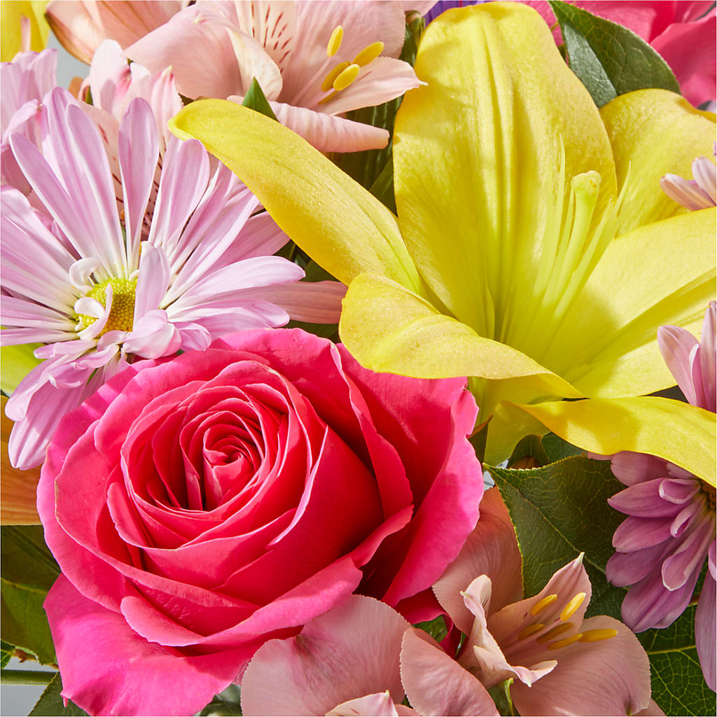 Sprinkles Bouquet –  United Family Flower And Gifts, Brooklyn NY