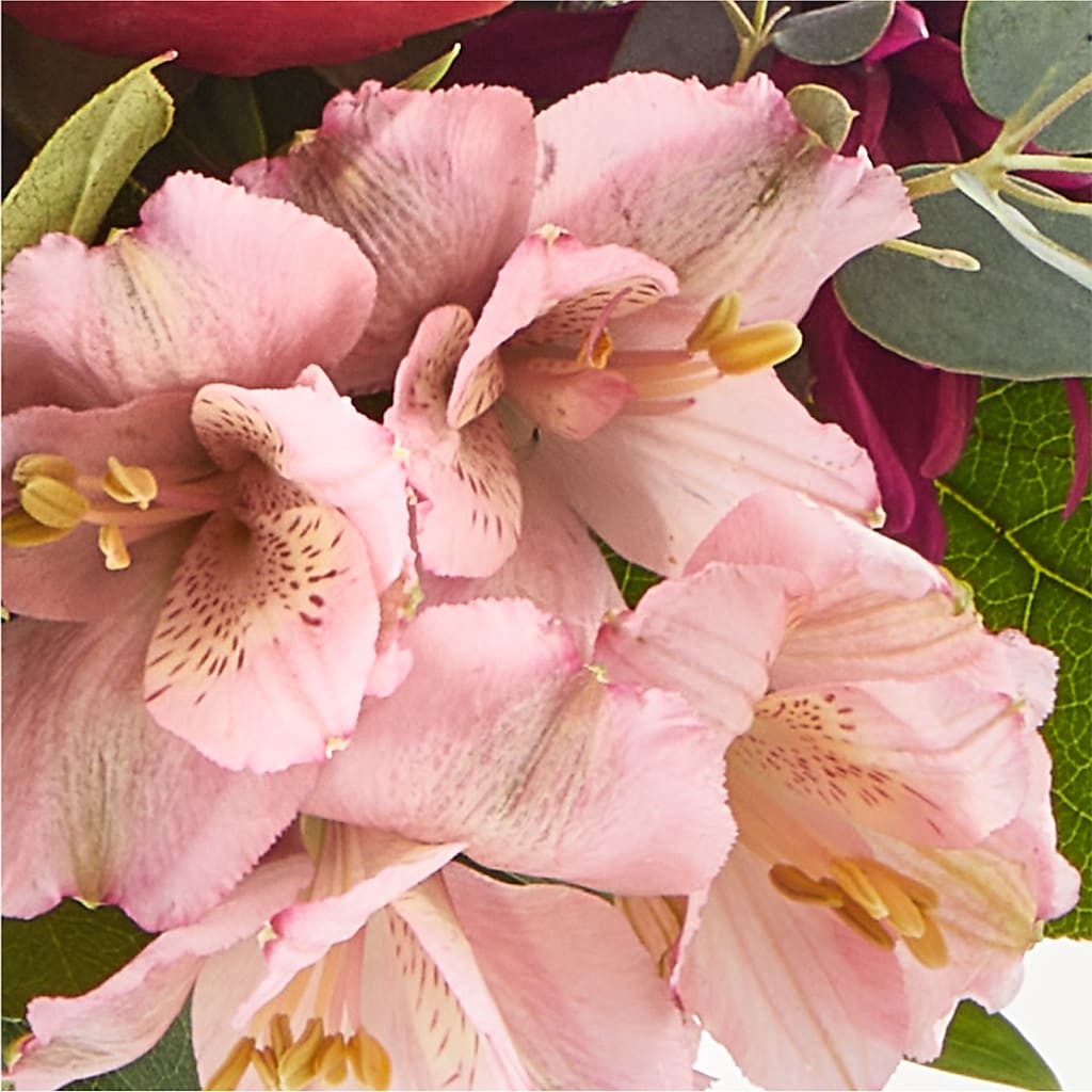 Berry Cobbler Bouquet –  United Family Flower And Gifts, Brooklyn NY