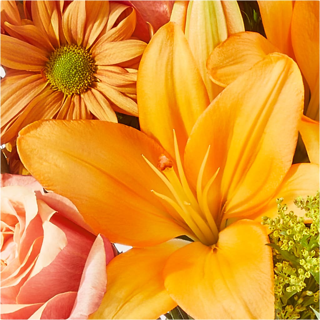 Harvest Hayride Bouquet –  United Family Flower And Gifts, Brooklyn NY