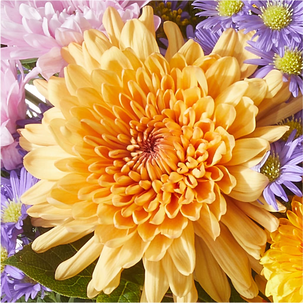 Countryside Bouquet –  United Family Flower And Gifts, Brooklyn NY