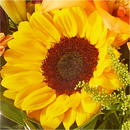 Seasons Change Bouquet –  United Family Flower And Gifts, Brooklyn NY