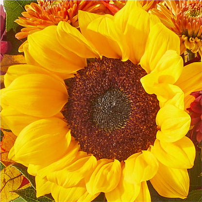 Sunny Side Bouquet –  United Family Flower And Gifts, Brooklyn NY