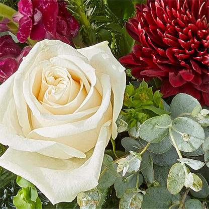 Cranberry Fizz Bouquet –  United Family Flower And Gifts, Brooklyn NY