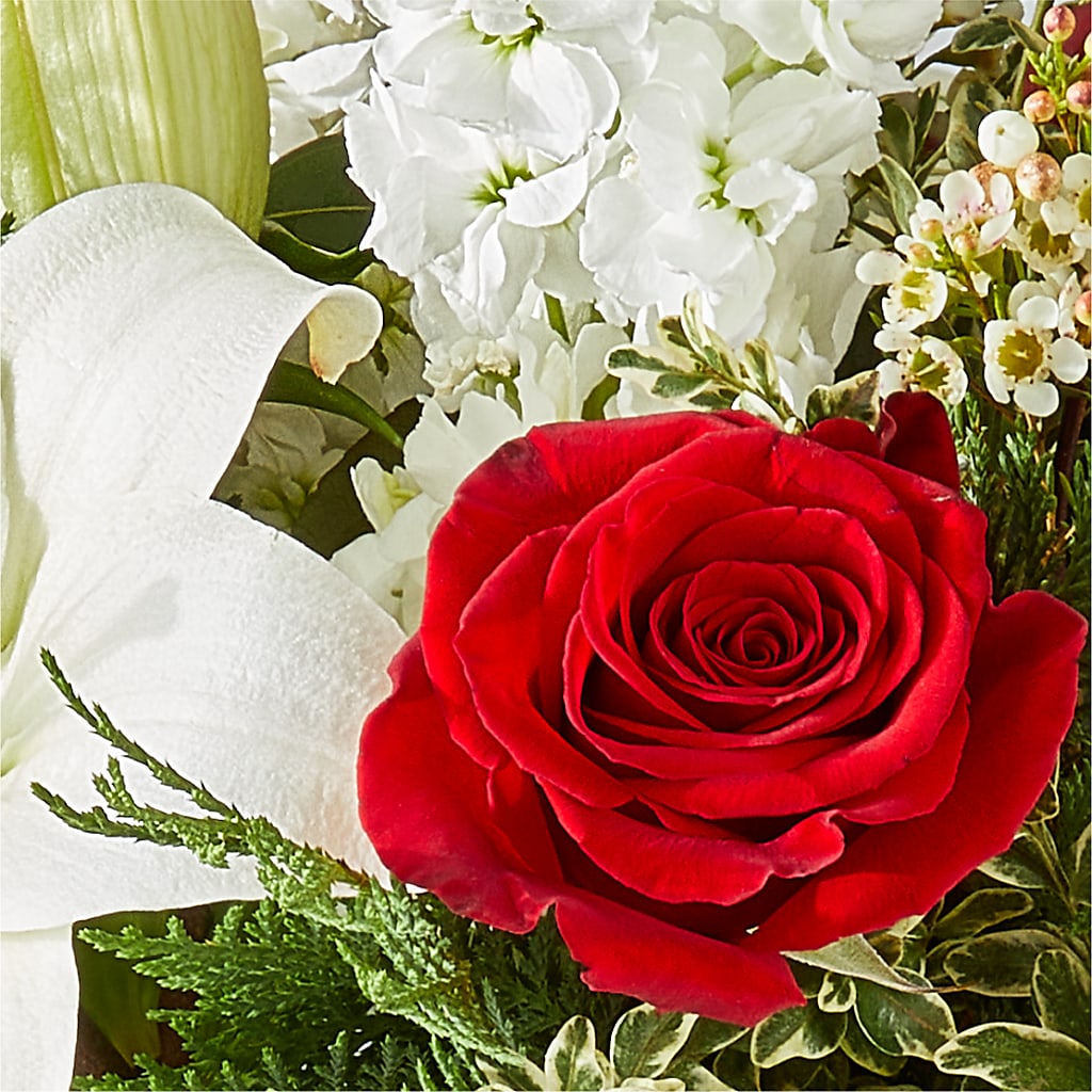 Twinkle Lights Bouquet –  United Family Flower And Gifts, Brooklyn NY