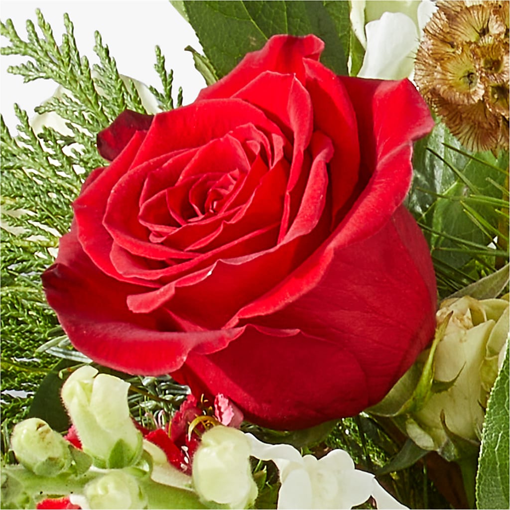 Deck the Halls Bouquet –  United Family Flower And Gifts, Brooklyn NY