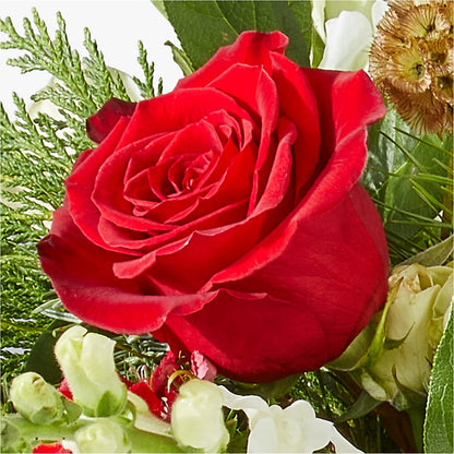 Deck the Halls Bouquet –  United Family Flower And Gifts, Brooklyn NY
