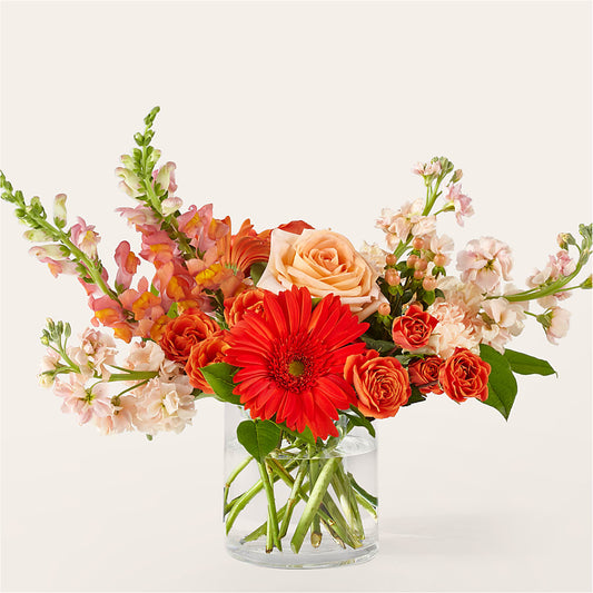 Paloma Please Bouquet –  United Family Flower And Gifts, Brooklyn NY