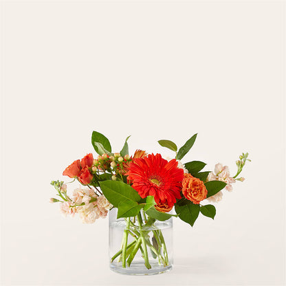 Paloma Please Bouquet –  United Family Flower And Gifts, Brooklyn NY