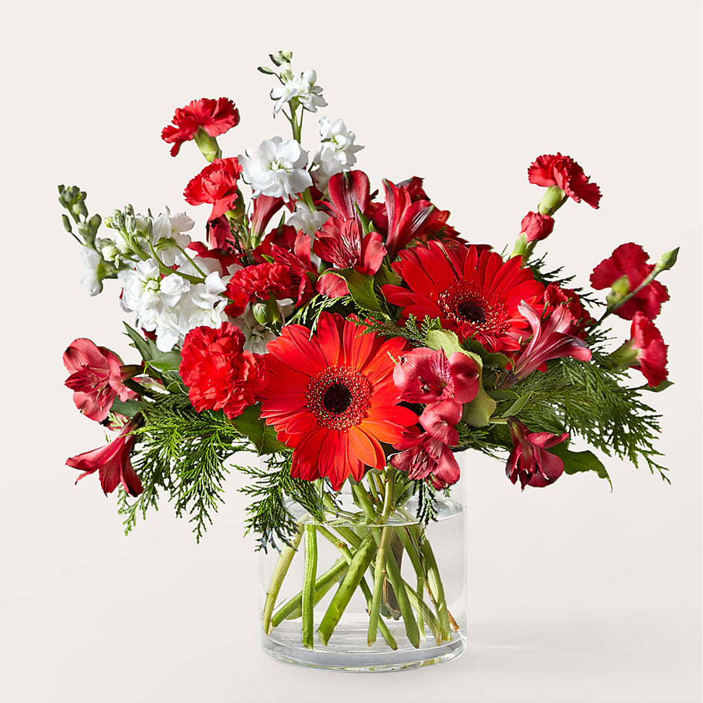 Holidaisy Bouquet –  United Family Flower And Gifts, Brooklyn NY