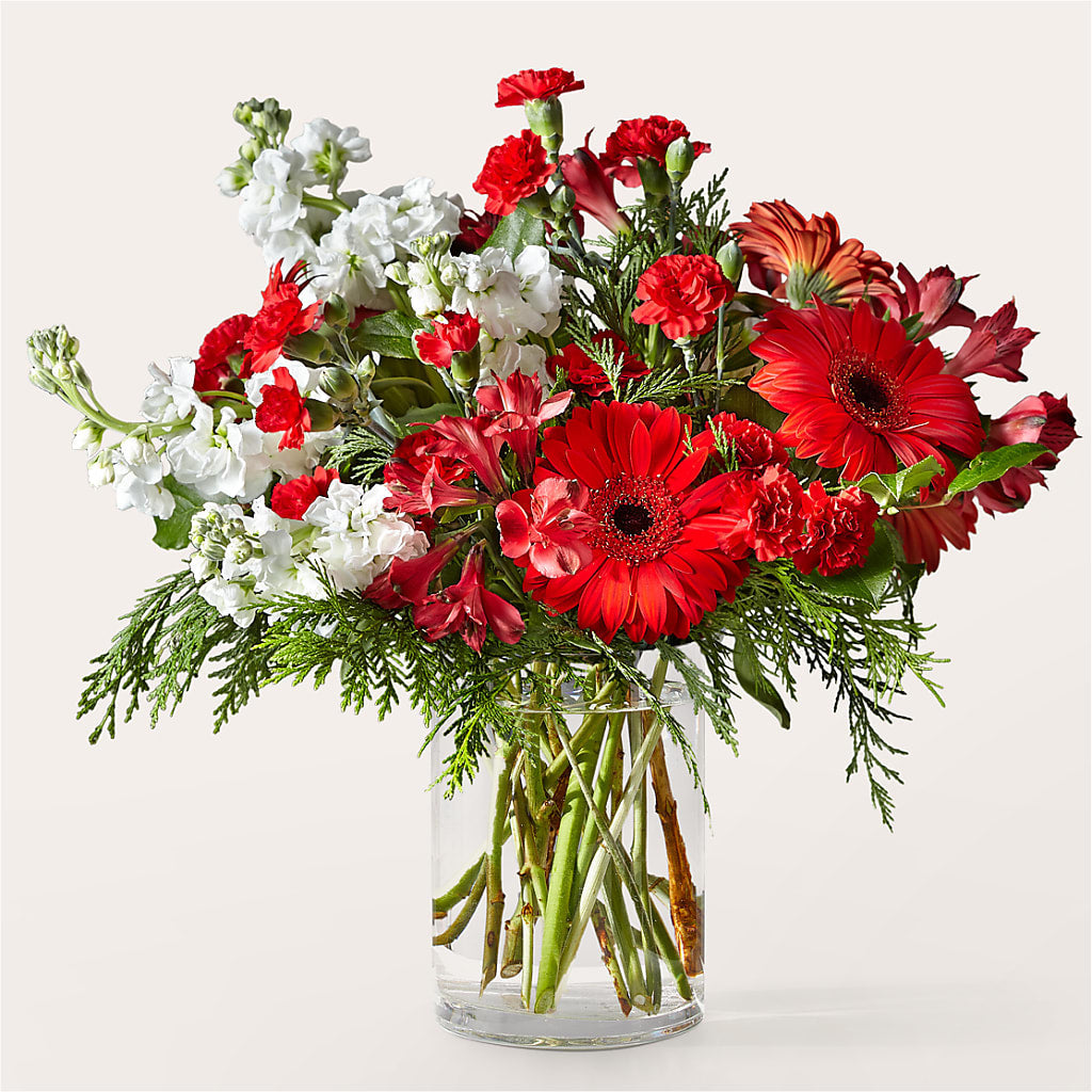 Holidaisy Bouquet –  United Family Flower And Gifts, Brooklyn NY