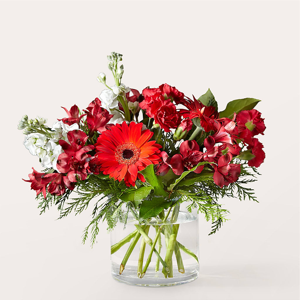 Holidaisy Bouquet –  United Family Flower And Gifts, Brooklyn NY