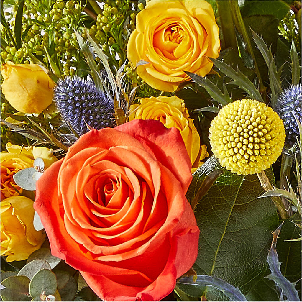 Disco Bouquet –  United Family Flower And Gifts, Brooklyn NY