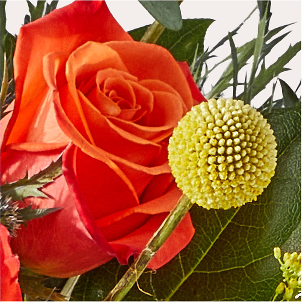 Disco Bouquet –  United Family Flower And Gifts, Brooklyn NY