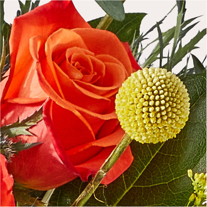 Disco Bouquet –  United Family Flower And Gifts, Brooklyn NY