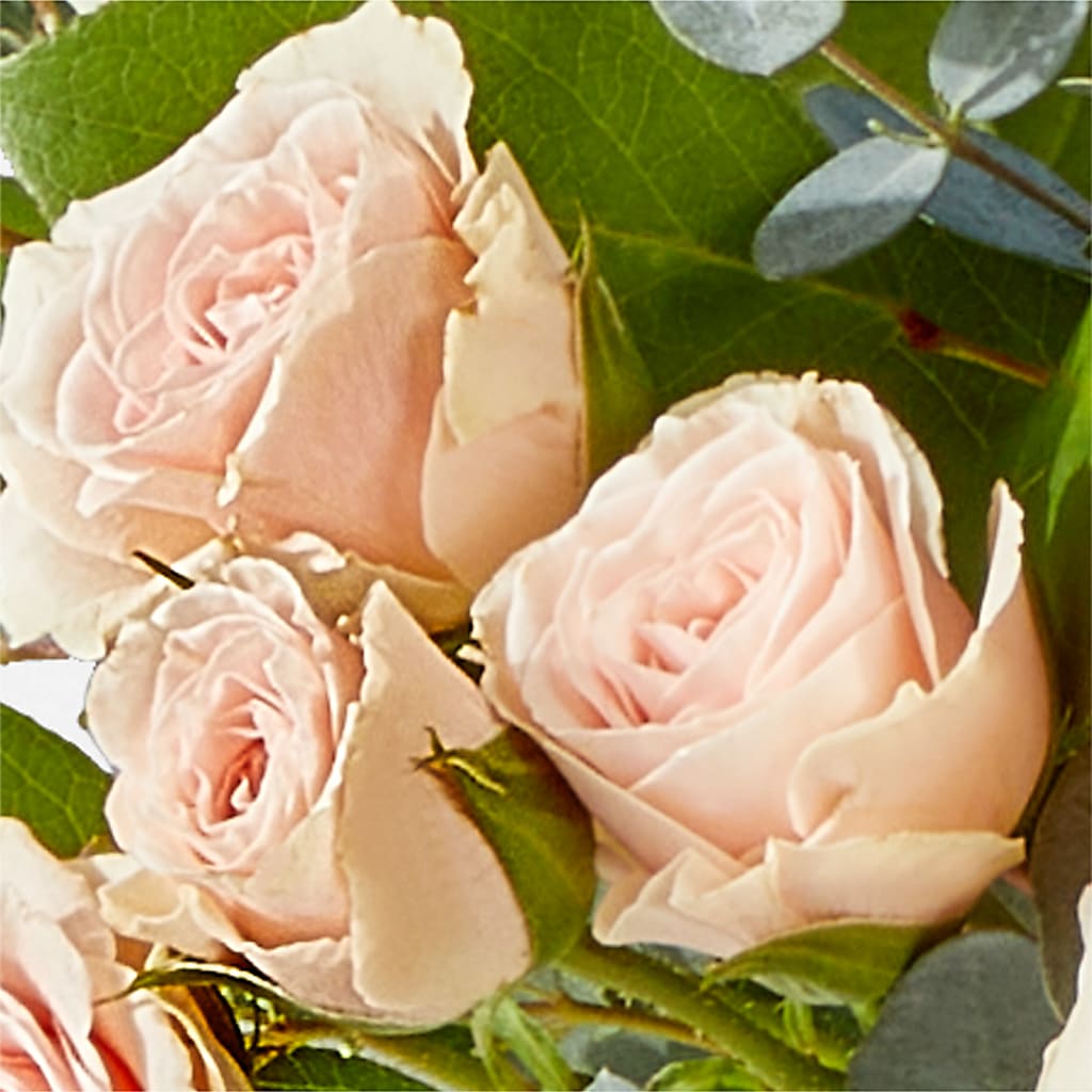 Inspired Bouquet –  United Family Flower And Gifts, Brooklyn NY