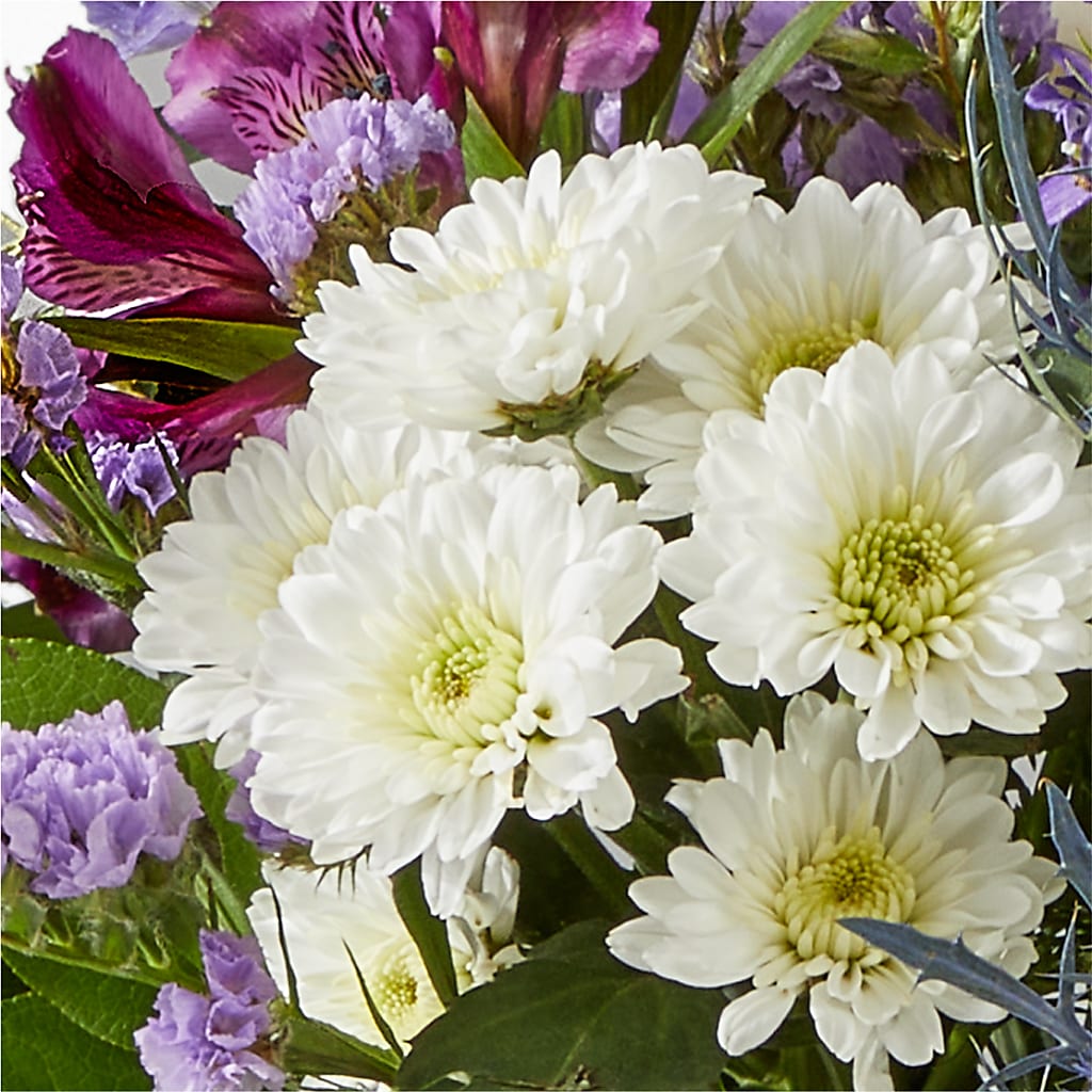 Shooting Star Bouquet –  United Family Flower And Gifts, Brooklyn NY
