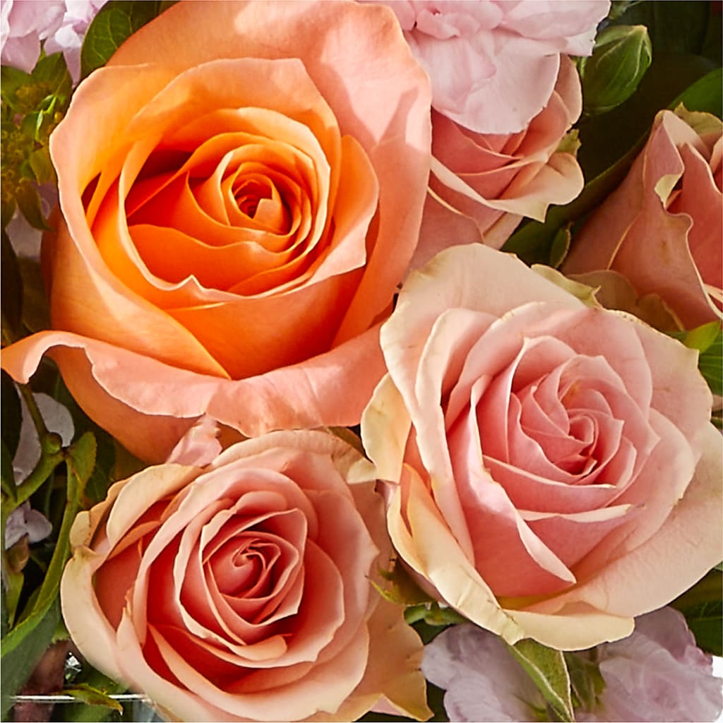 French Market Bouquet –  United Family Flower And Gifts, Brooklyn NY