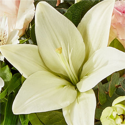 Ballet Slippers Bouquet –  United Family Flower And Gifts, Brooklyn NY
