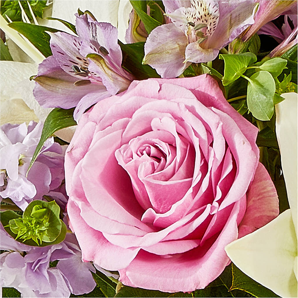 Daydreamer Bouquet –  United Family Flower And Gifts, Brooklyn NY