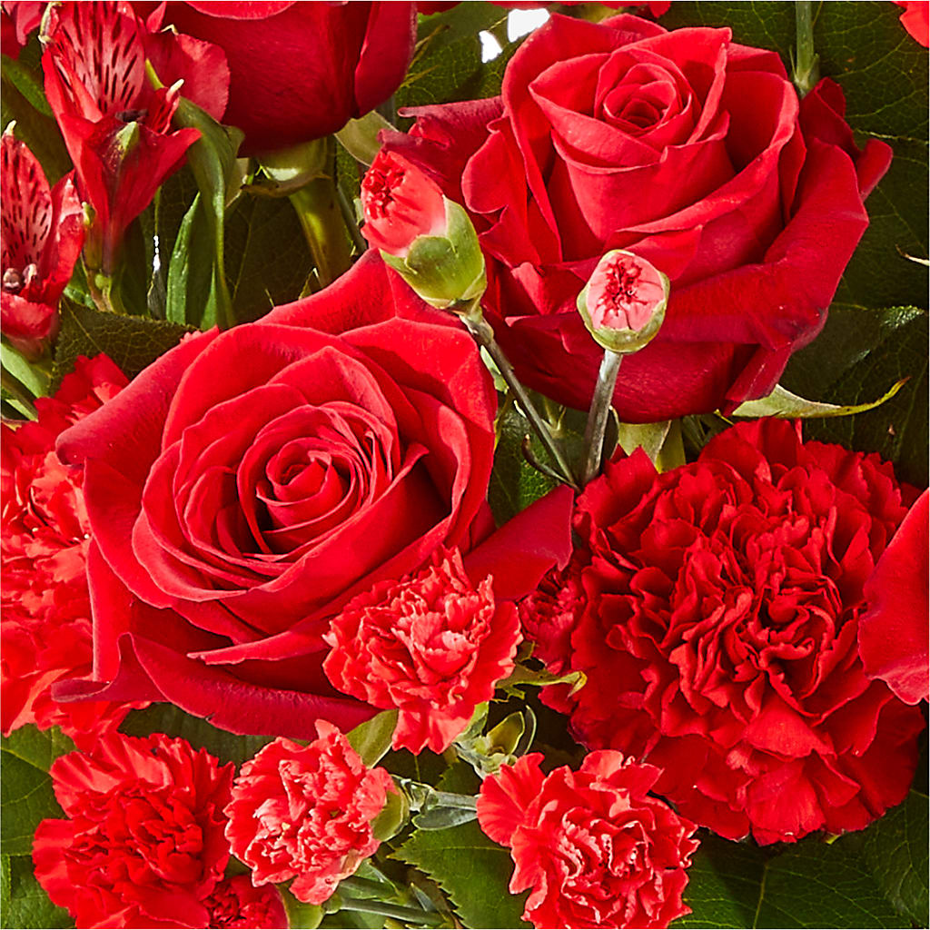The Heartstrings Bouquet –  United Family Flower And Gifts, Brooklyn NY