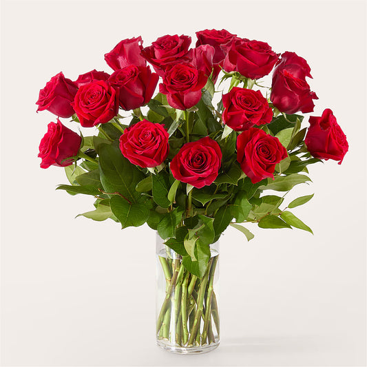 The One Red Rose Bouquet – UNITED FAMILY FLOWER AND GIFTS, Brooklyn NY
