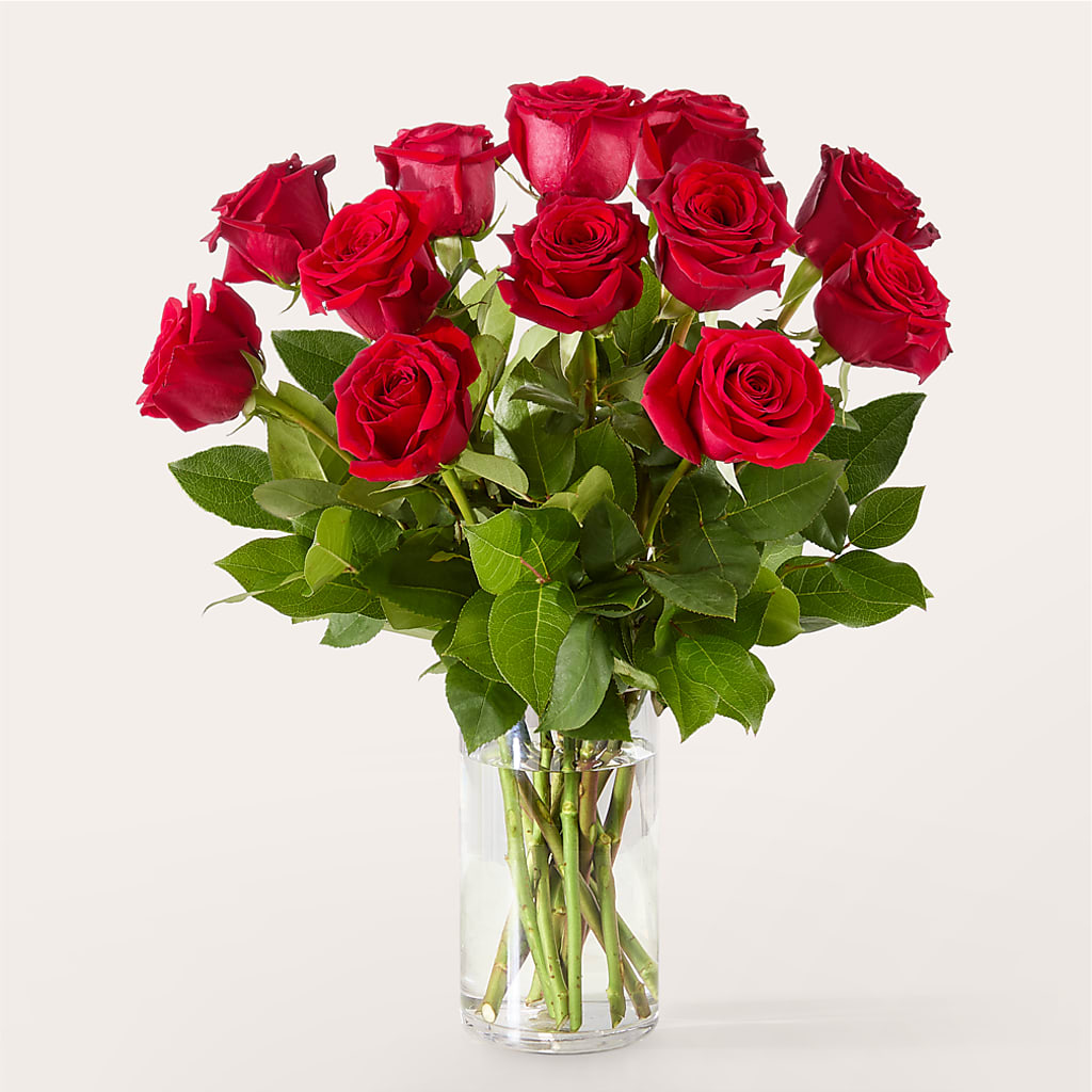 The One Red Rose Bouquet –  United Family Flower And Gifts, Brooklyn NY