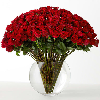 The Idealist –  United Family Flower And Gifts, Brooklyn NY
