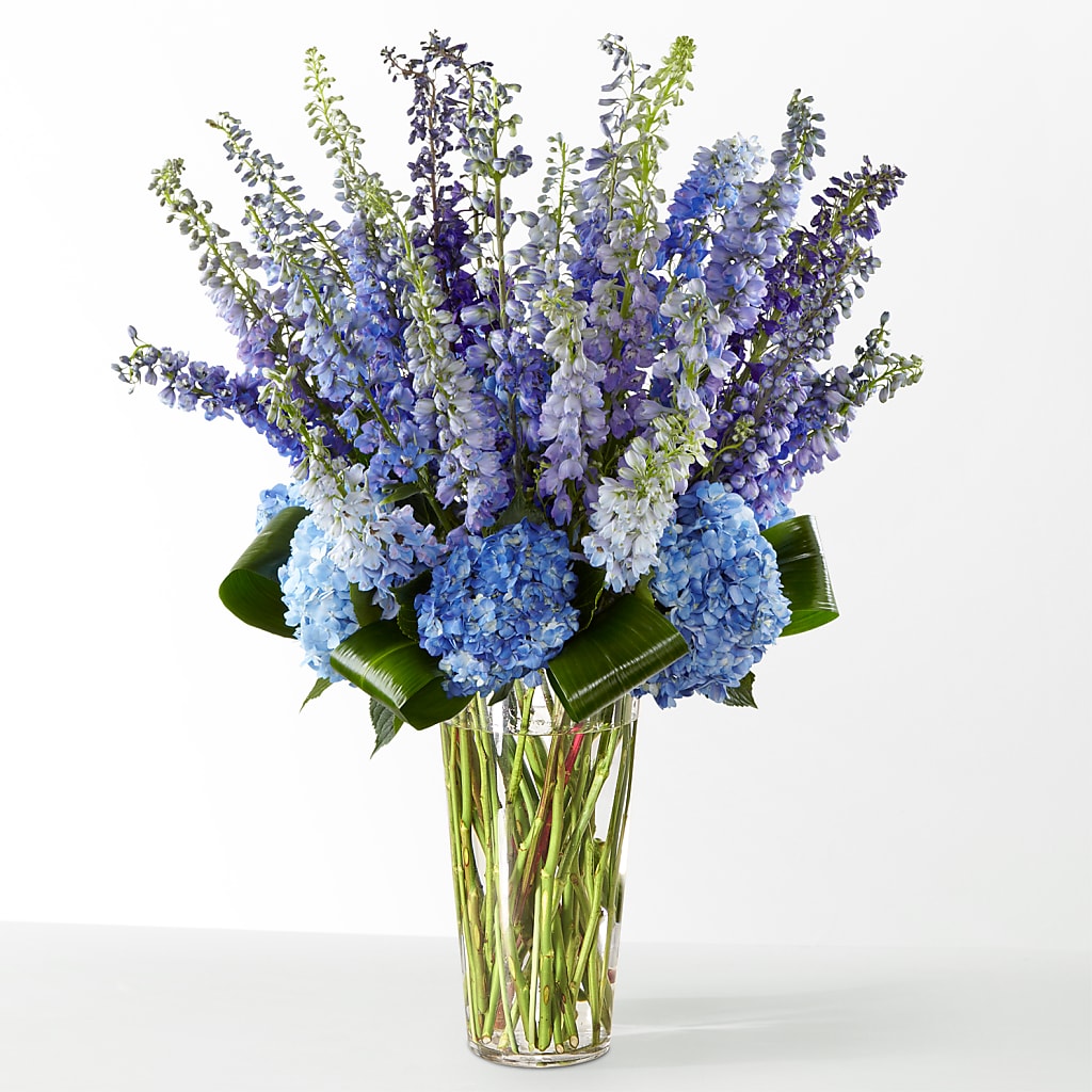 The Editorial –  United Family Flower And Gifts, Brooklyn NY