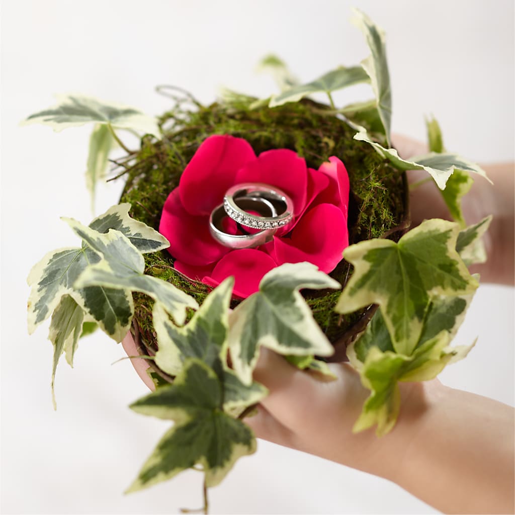Lila Rose Ring Nest –  United Family Flower And Gifts, Brooklyn NY