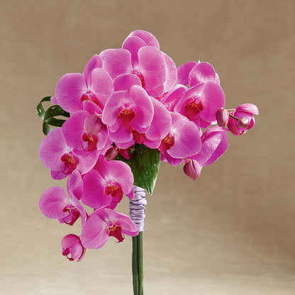 Glorious Bouquet –  United Family Flower And Gifts, Brooklyn NY