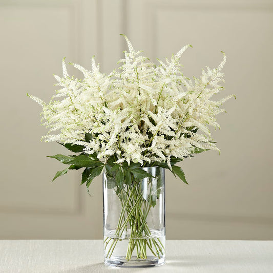 White Astilbe Bouquet –  United Family Flower And Gifts, Brooklyn NY