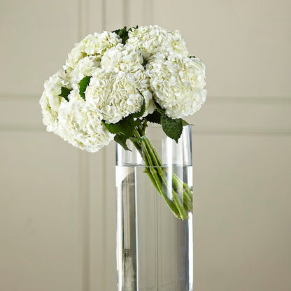 White Hydrangea Hand-Tied Bouquet –  United Family Flower And Gifts, Brooklyn NY