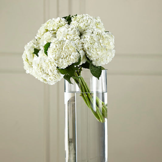 White Hydrangea Hand-Tied Bouquet –  United Family Flower And Gifts, Brooklyn NY