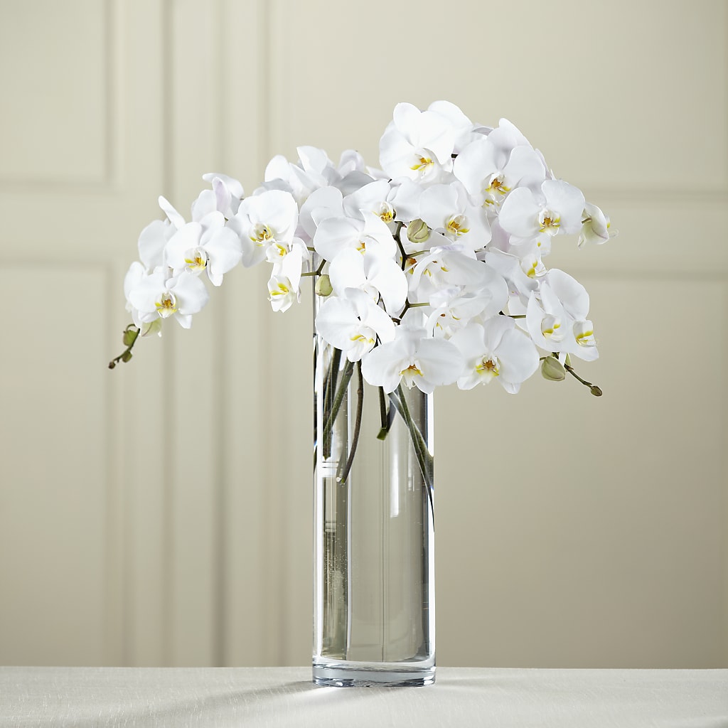White Phalaenopsis Bouquet –  United Family Flower And Gifts, Brooklyn NY